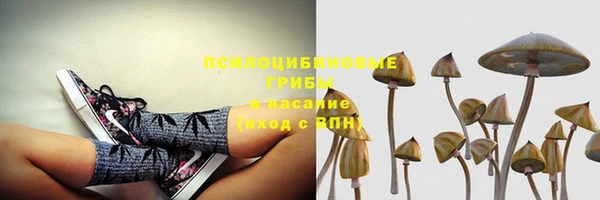 кокаин колумбия Алексин