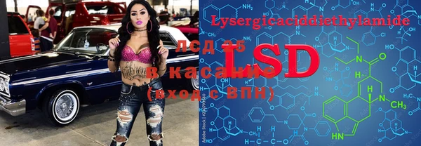 амф Алзамай