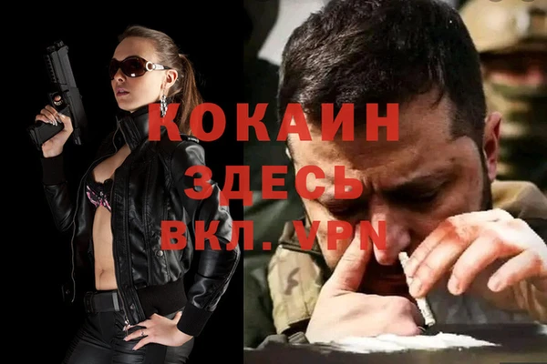 амф Алзамай