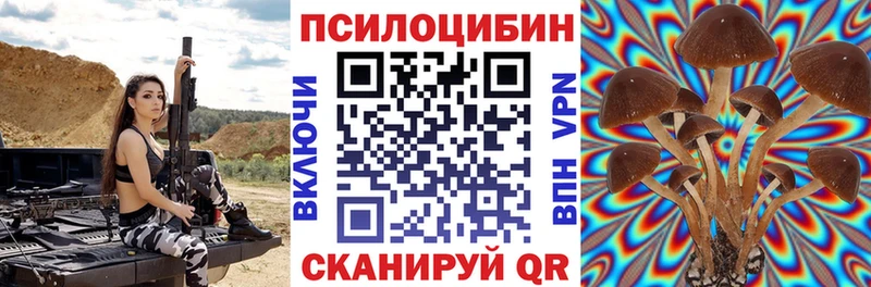 MEGA ONION  Мещовск  Псилоцибиновые грибы прущие грибы 